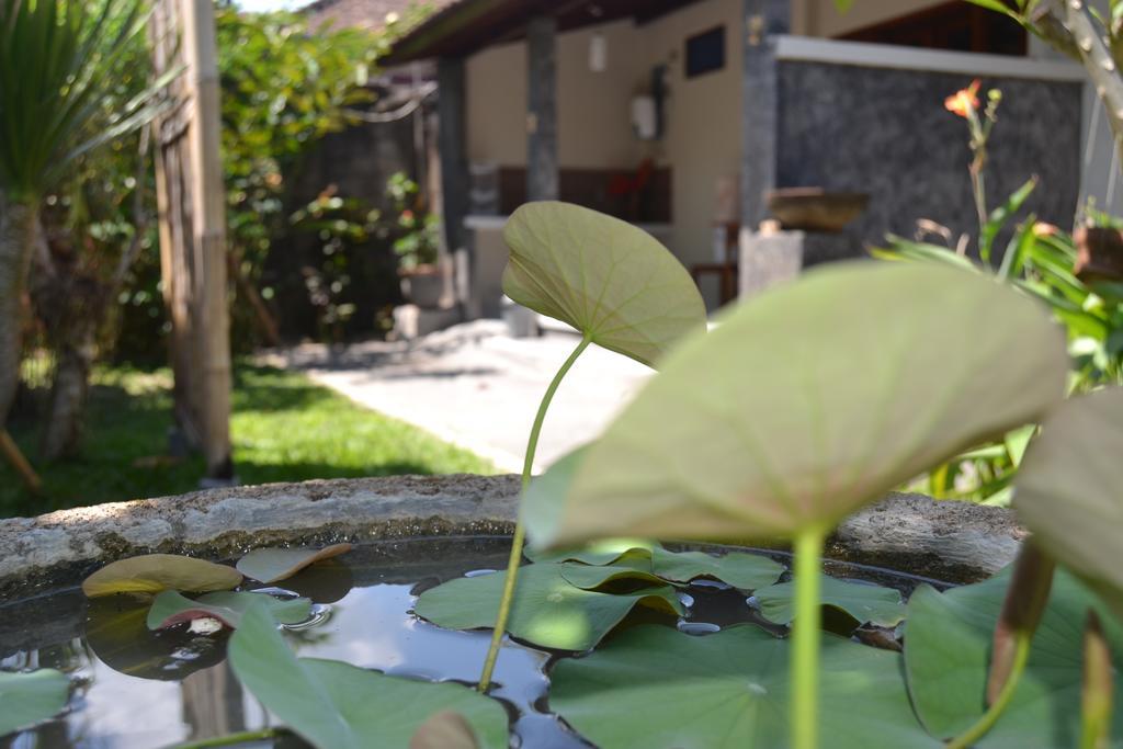 Hotel Sakha House Ubud Esterno foto